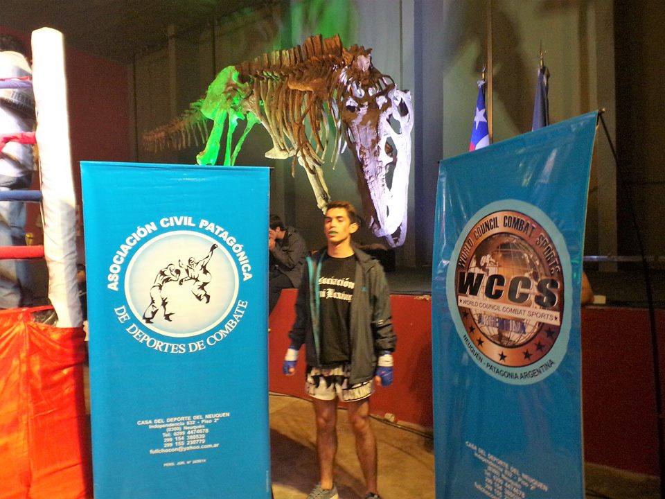 Imagen adicional