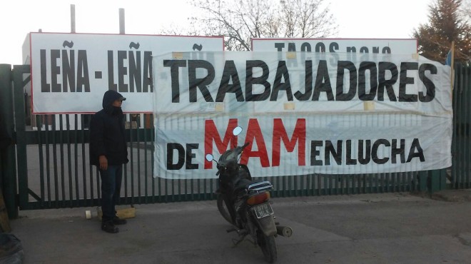 Imagen adicional