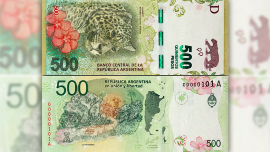 Imagen adicional