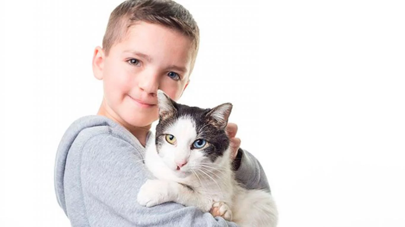 Imagen adicional