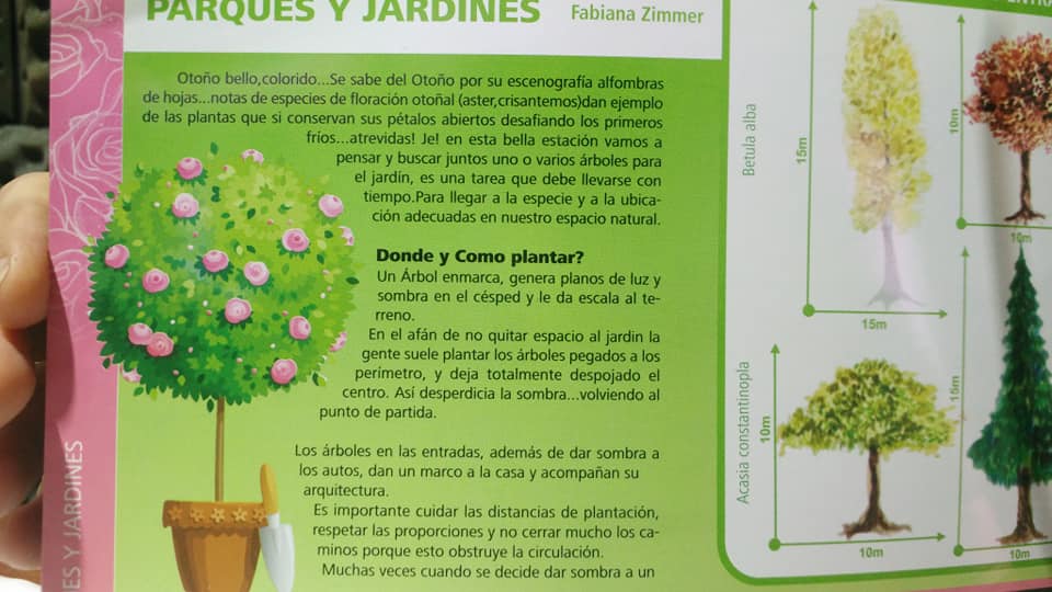 Imagen adicional