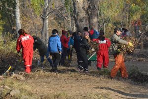 Imagen adicional