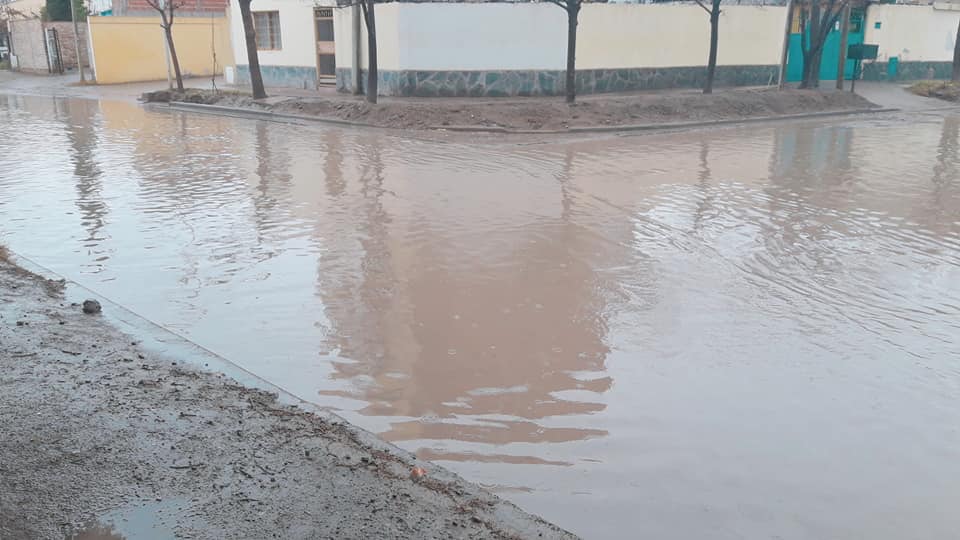 Imagen adicional