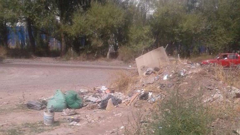 Imagen adicional