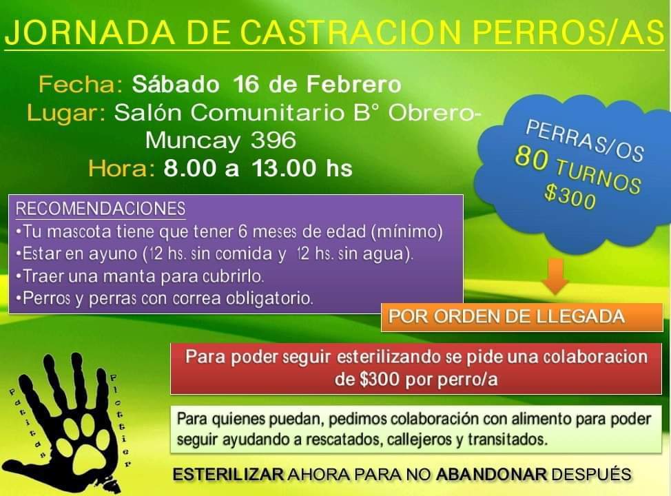 Imagen adicional