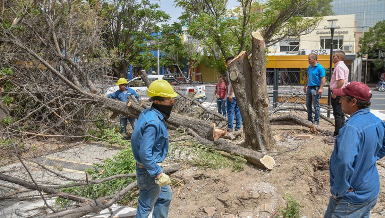 Imagen adicional