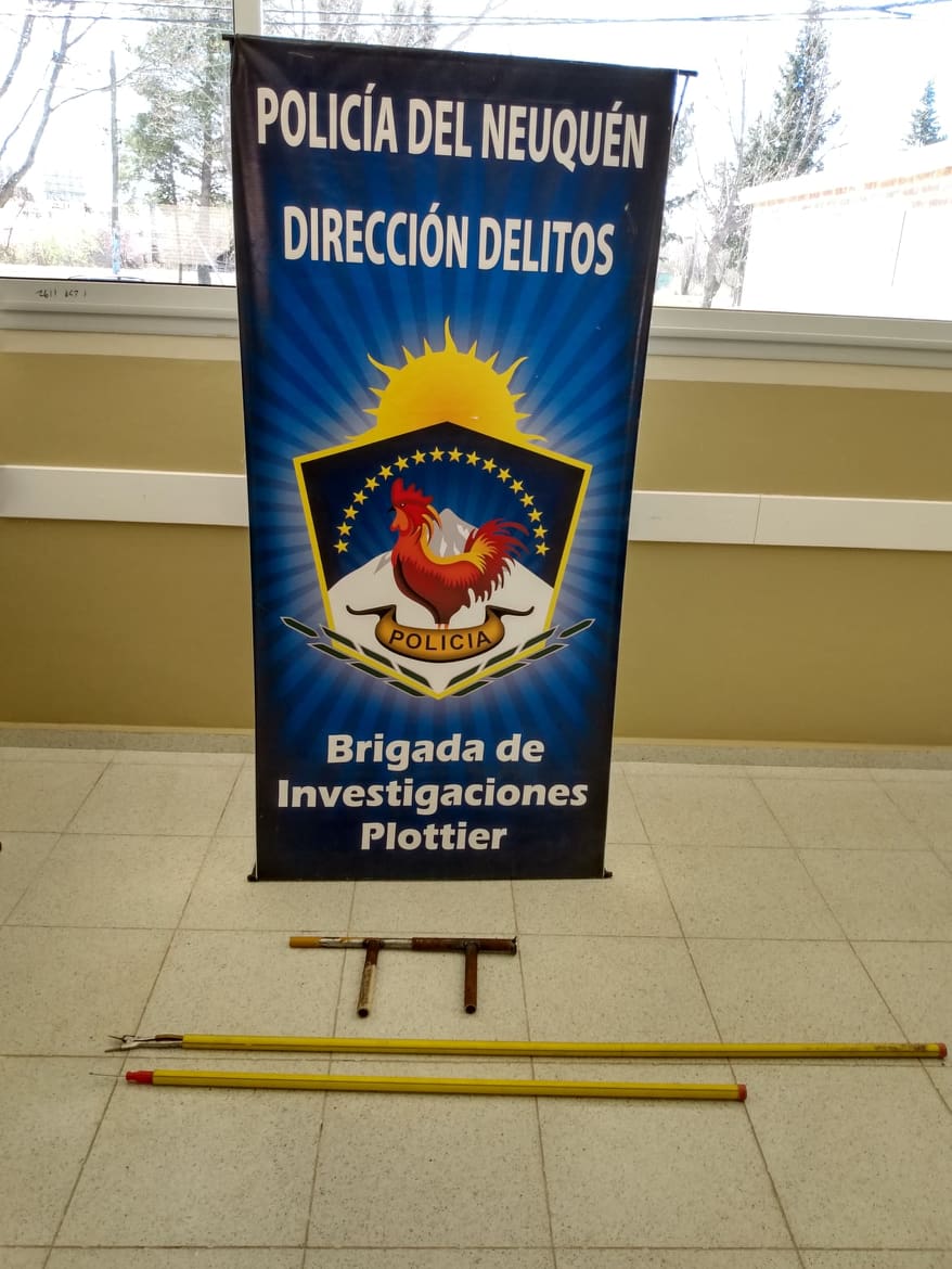 Imagen adicional