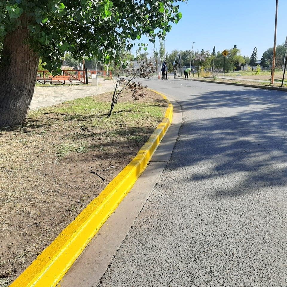 Imagen adicional