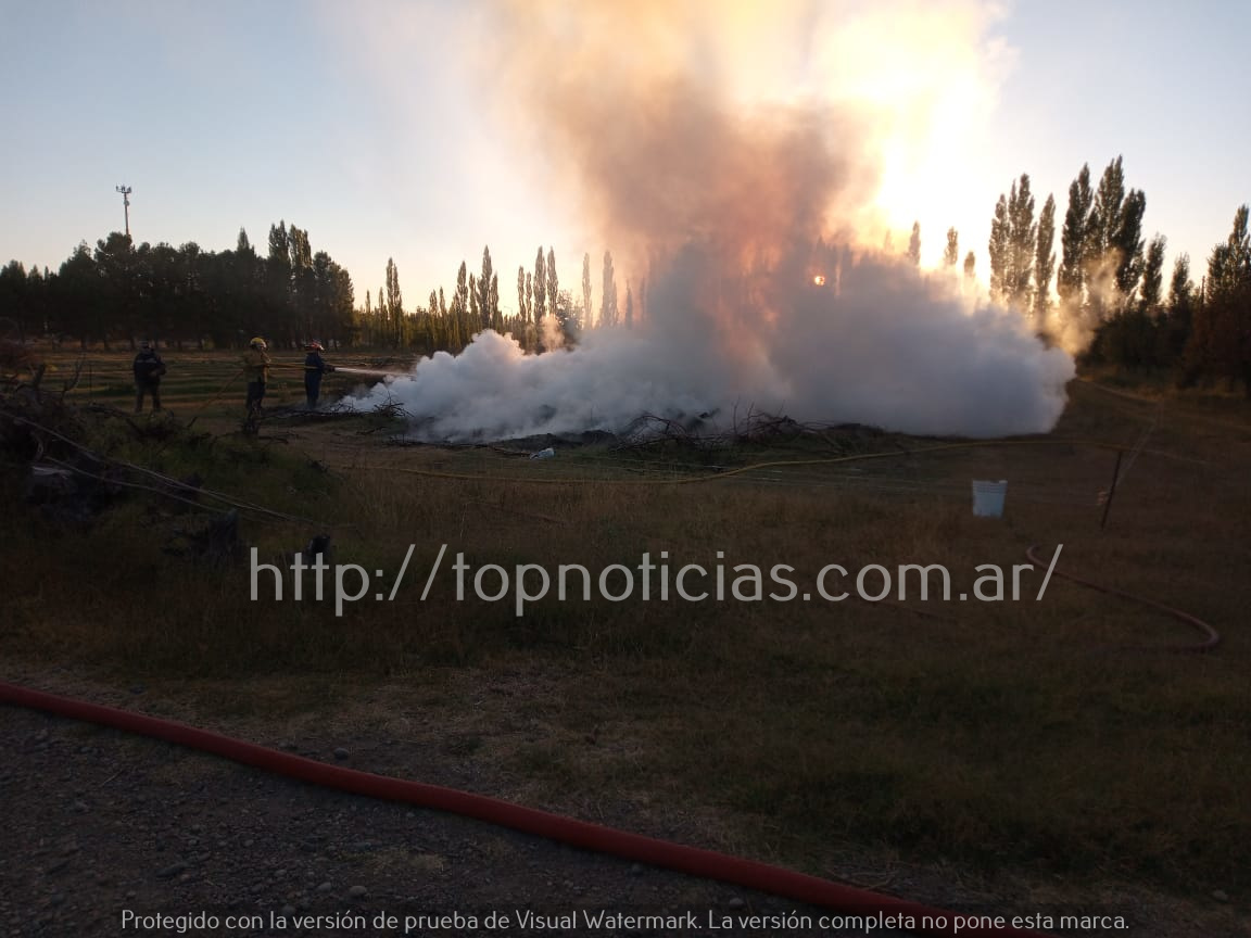 Imagen adicional