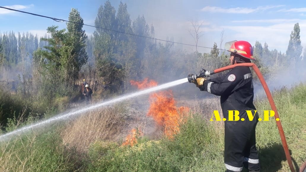 Imagen adicional