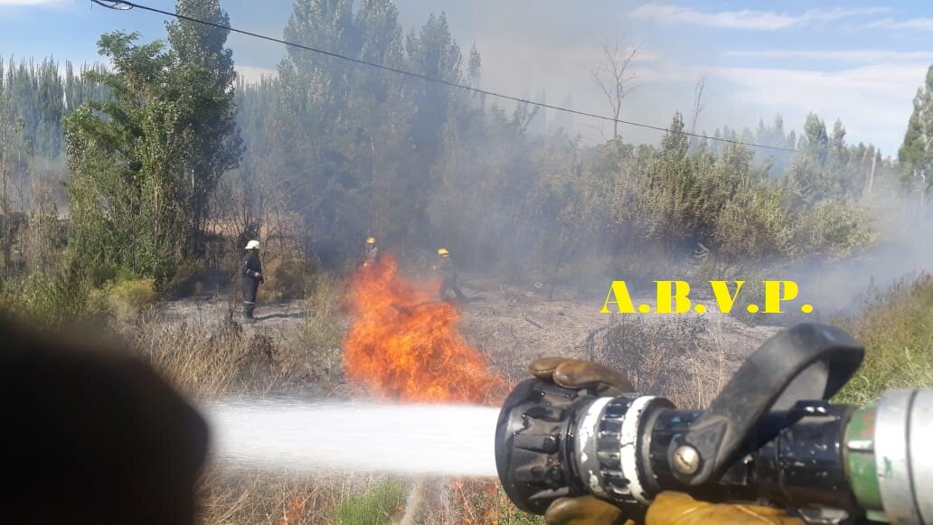 Imagen adicional