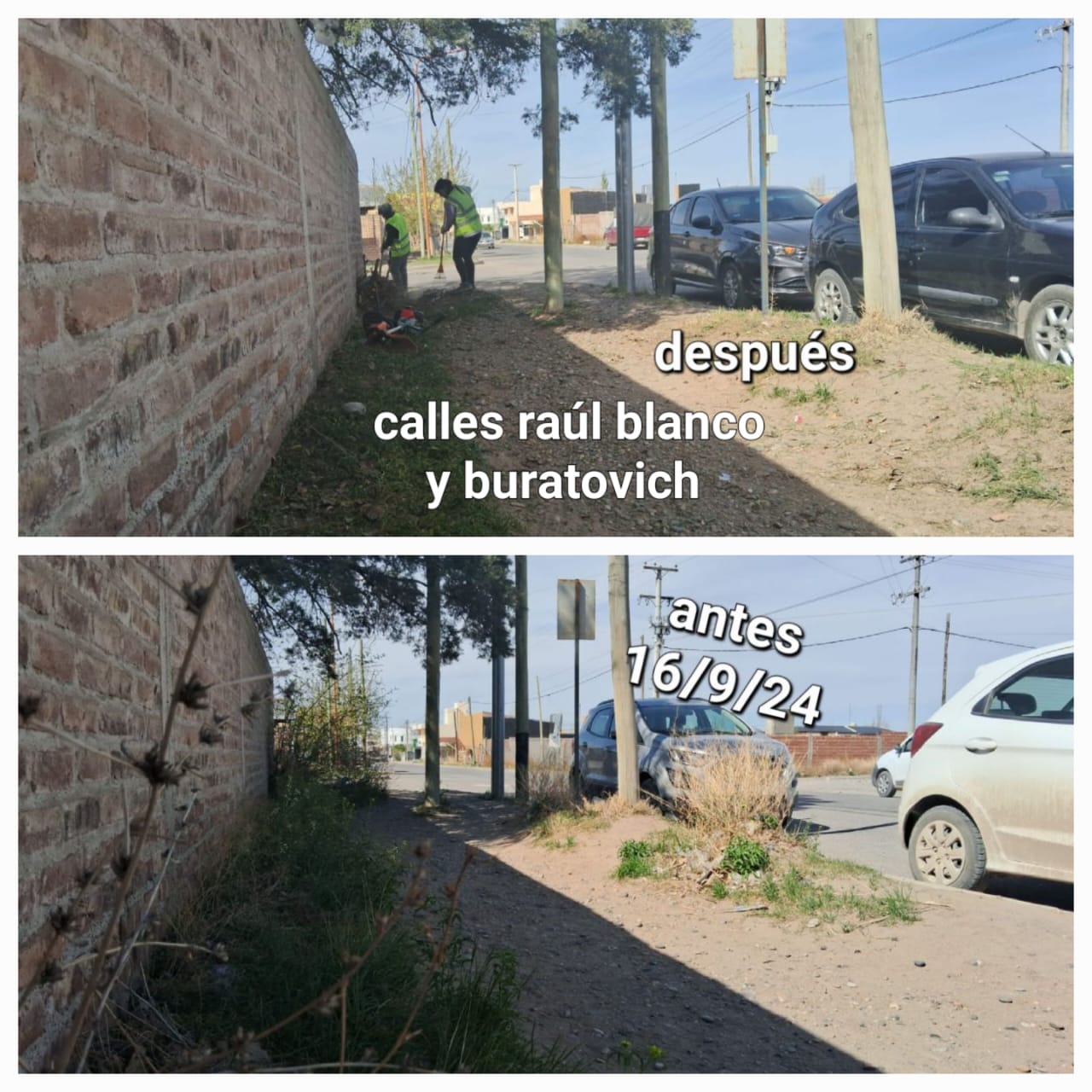 Imagen adicional