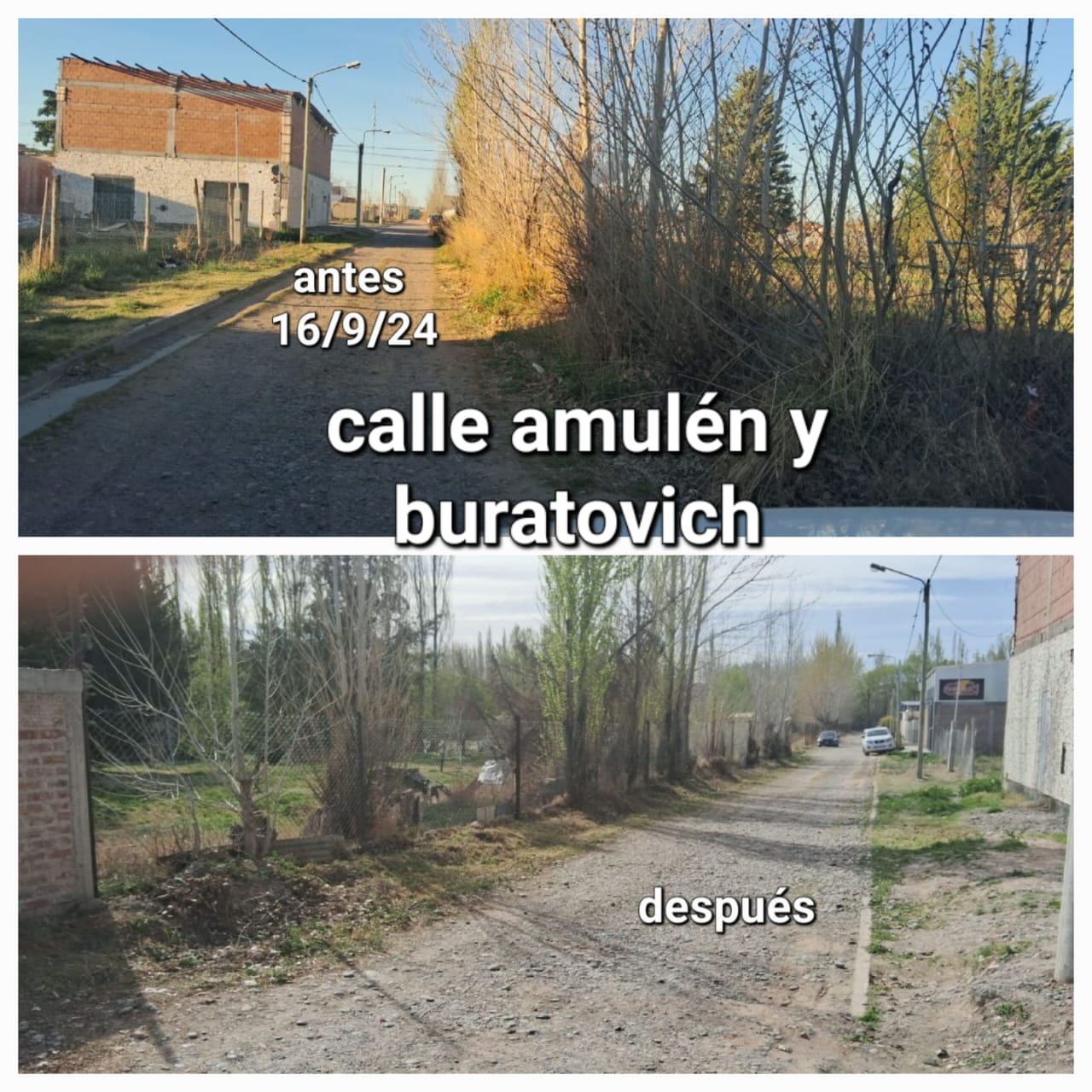 Imagen adicional