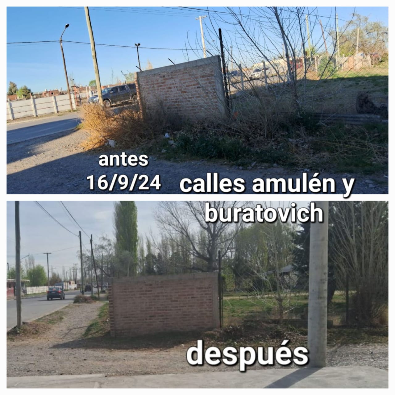 Imagen adicional