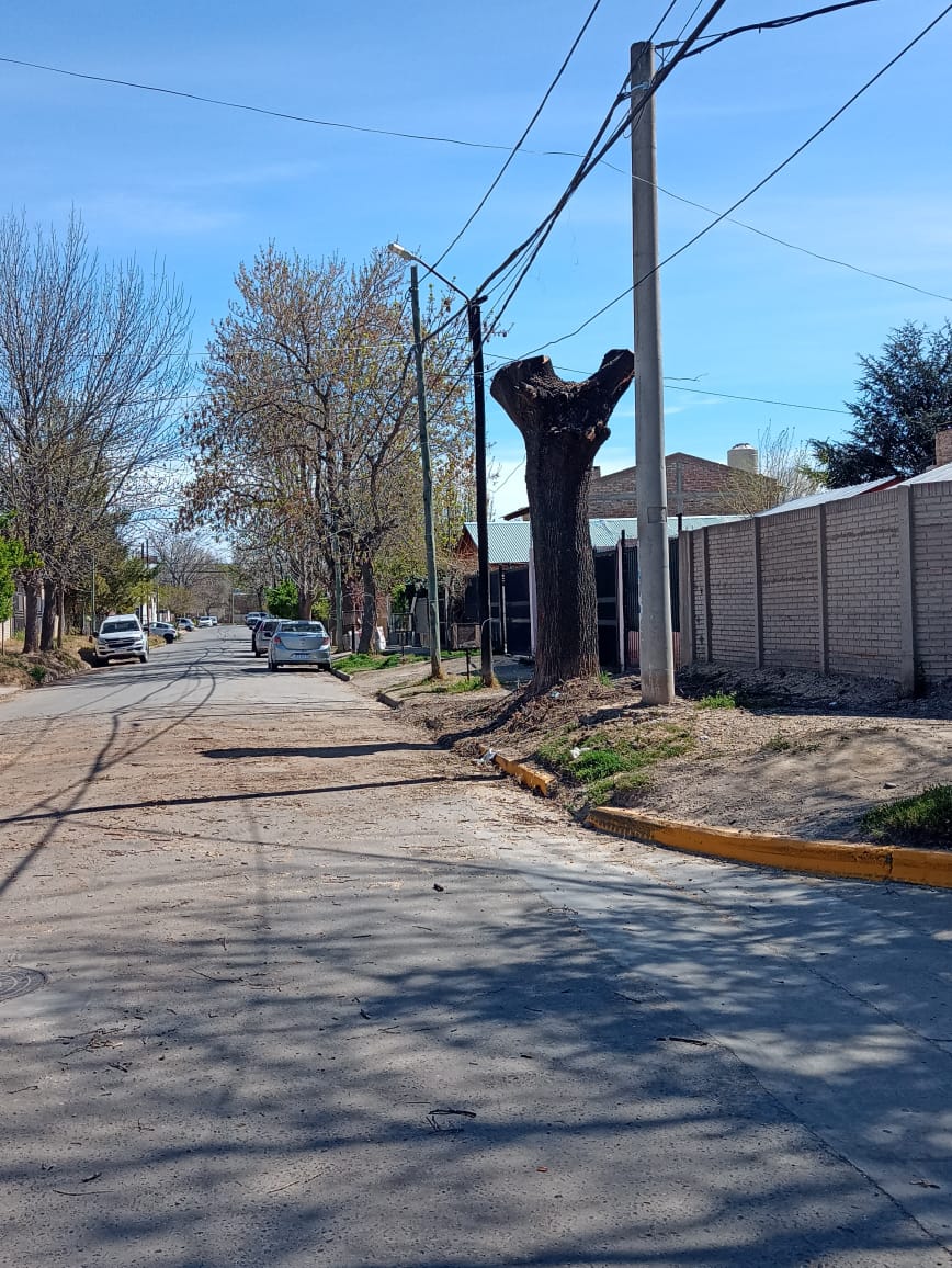 Imagen adicional