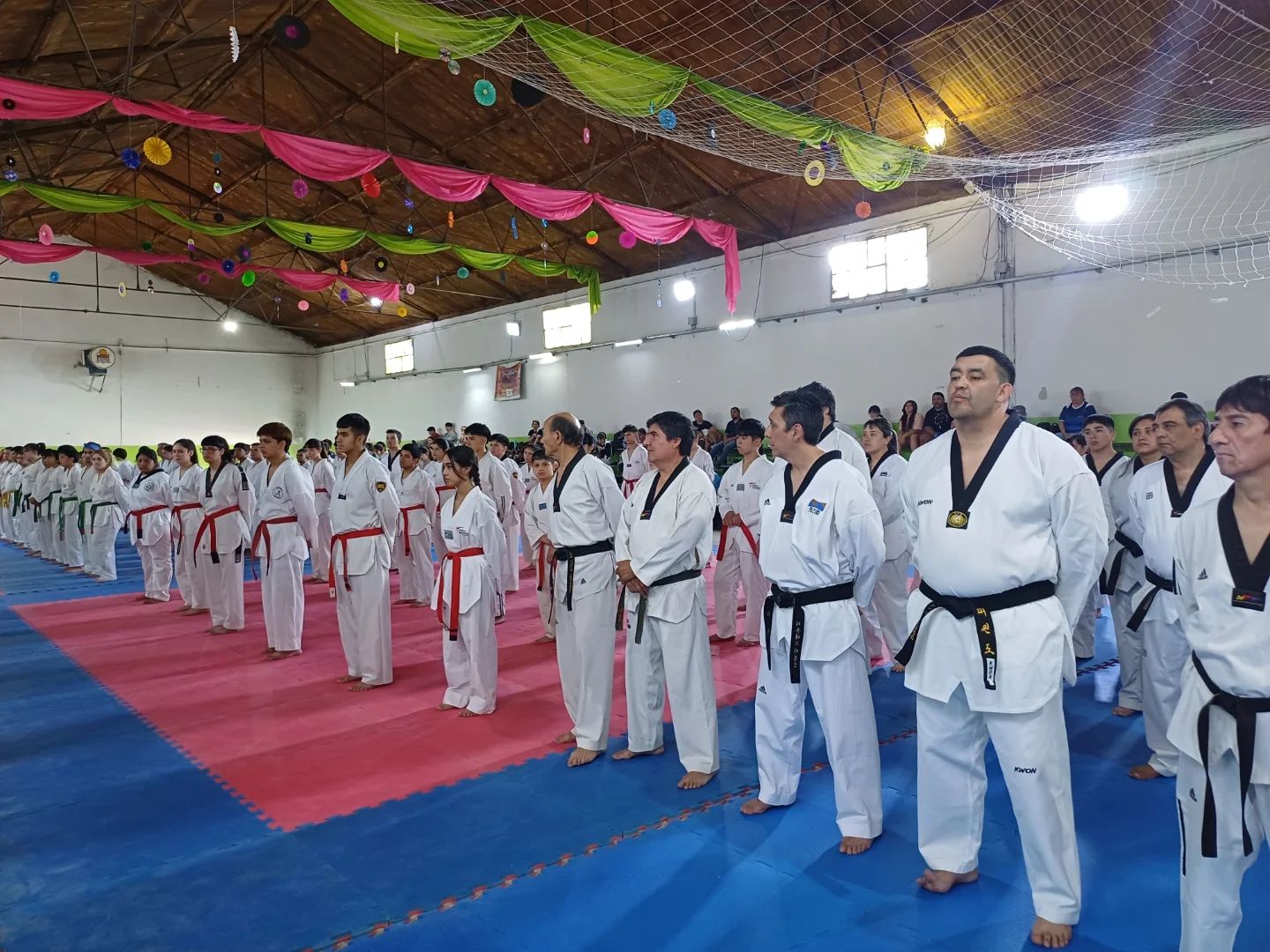 Imagen adicional