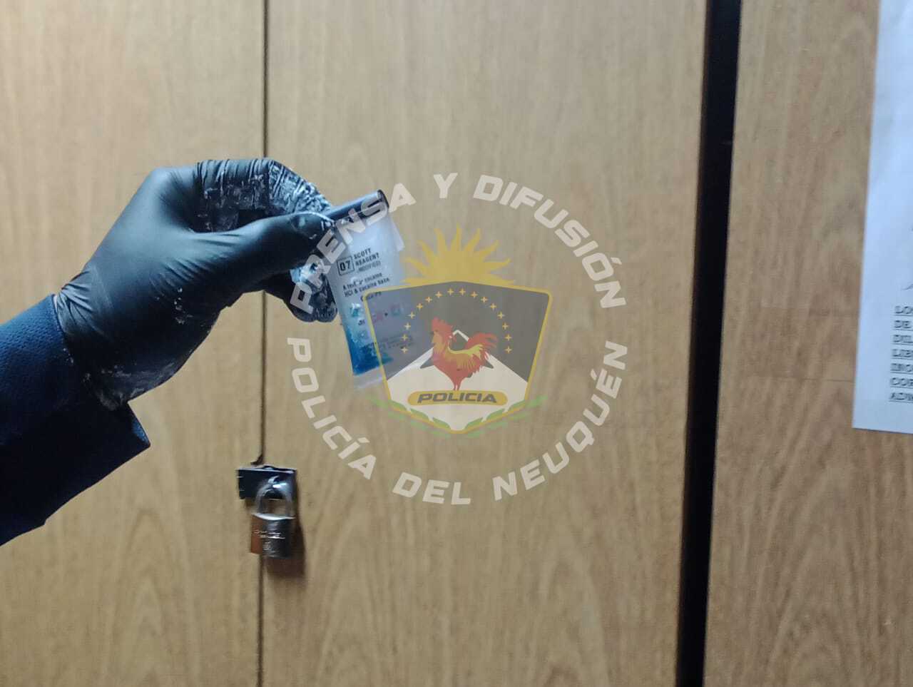 Imagen adicional